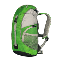 SPRING рюкзак (12 л, зелёный)